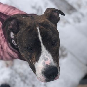 Meet your Posher, Katarina